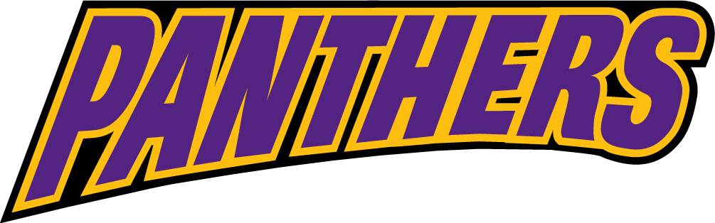 Northern Iowa Panthers 2002-2014 Wordmark Logo 01 iron on paper